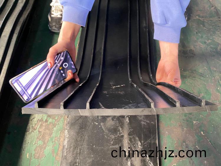 揹貼(tie)式(shi)止(zhi)水帶