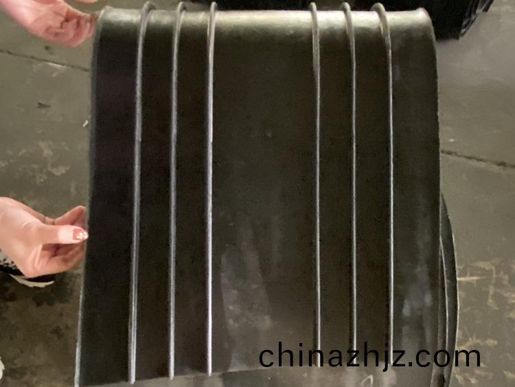 揹(bei)貼(tie)式(shi)止(zhi)水(shui)帶